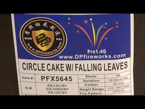 PFX5645 - 98s Circle Cake with falling leaves Dominator Proline AND Supernova Ring Pro LEVEL cake