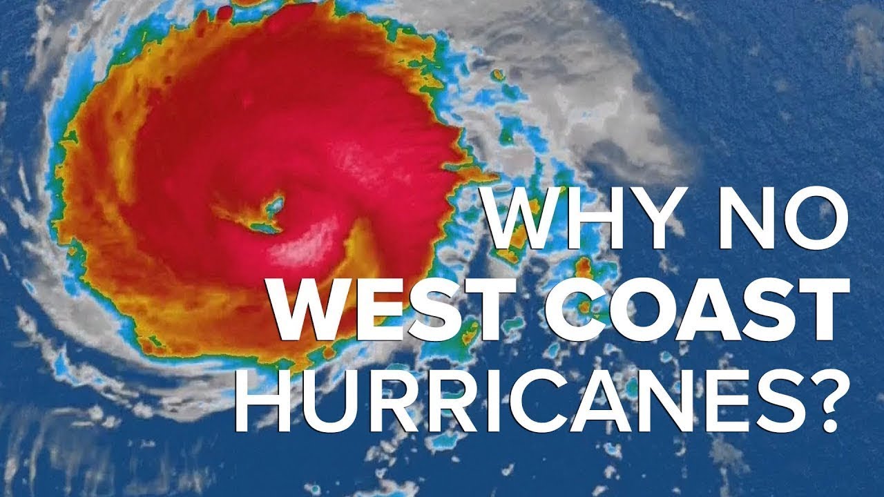 Why is there no hurricane on the west coast? Tipseri