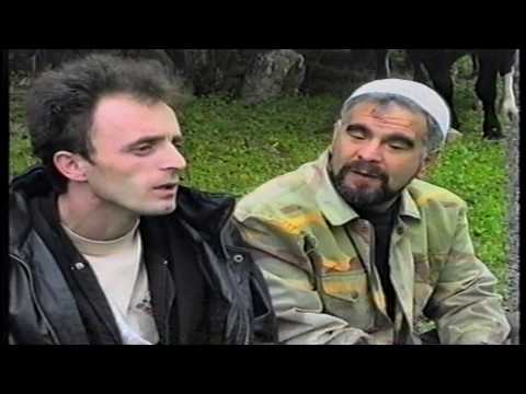 mister x -   amadeusi -  çisto ship