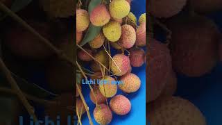 Download lagu sakn sakn lagyo samprk grnu hola lichi chahiyma😂🤣 mp3