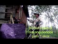 Berburu Babi Hutan Di Blakang Pondok Poin1 Oker