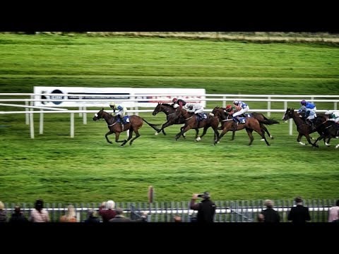 Roscommon Races 3rd September 2018 | Highlights