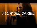 Big Soto, Neutro Shorty, Gera MX - Flow del Caribe || LETRA