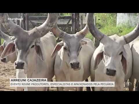 4ª EDIÇÃO DO EVENTO ARREUNI FAZENDA CAJAZEIRA