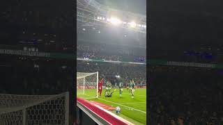 QUE DEFESA, CARLOS MIGUEL! #LIBERTADORES #PALMEIRAS