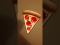 Pizza Boy Fanatic