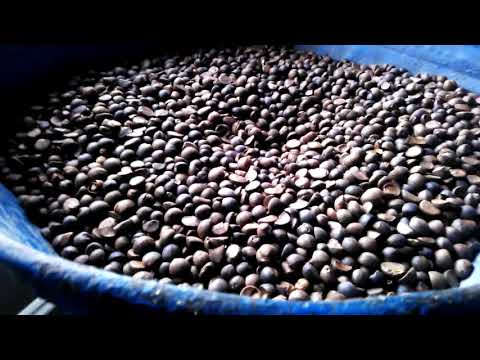 6F-300 Grinding Disc Micronizer