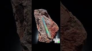 Download lagu Proof that unicorns once roamed earth🤯😱 #shorts #reels #unicorn mp3