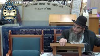 הרב עופר כדורי | פורים דמוקפים | יזדים (בית הכנסת מוסאיוף) - התמונה מוצגת ישירות מתוך אתר האינטרנט יוטיוב. זכויות היוצרים בתמונה שייכות ליוצרה. קישור קרדיט למקור התוכן נמצא בתוך דף הסרטון