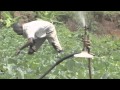 CBCO Kenya 6 Joseph Ndambuki SLA Treasuer