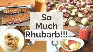 4 Quick and Healthy Rhubarb Recipes | What we