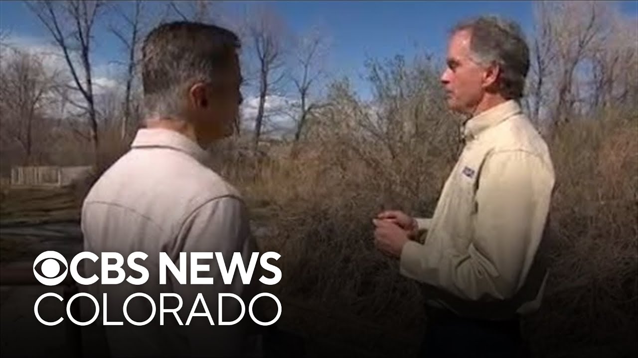 Boulder County offers rebates for homeowners who do wildfire mitigation