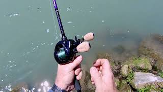 KastKing DESTRON Braid vs Texas Monster Carp. Who will win!