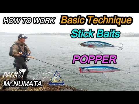 HOW TO work STICK BAITS & POPPER  Palms Mr. Numata Lecture  Salt Lure Fishing