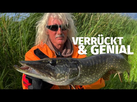 WAHSINNIGE KÖDERFISCH-METHODE: HECHTE GEDIPPT mit JÖRG OVENS - 'Fang mal was' (28)