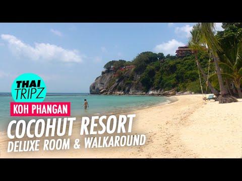 download lagu mp3 mp4 Cocohut Resort Koh Phangan, download lagu Cocohut Resort Koh Phangan gratis, unduh video klip Cocohut Resort Koh Phangan