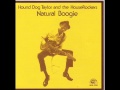 Hound Dog Taylor - Hawaian Boogie