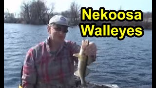 preview picture of video 'Walleye Fishing - Wisconsin River, Nekoosa, Wisconsin for Walleye Days'