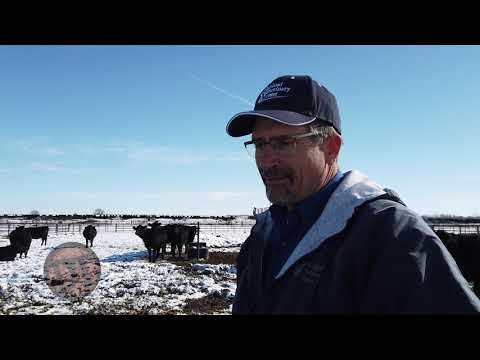 , title : 'DocTalk Ep 460 with Dr. Randall Spare "How do you select a bull for your herd"'