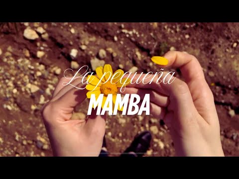 "La pequeña mamba " - El Natty Combo ( Official video)