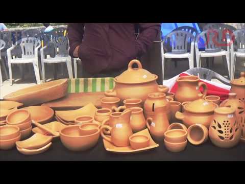 Tesis Proyecto Baquiana en Lipimávida