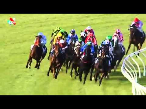 ROBERT SANGSTER STAKES 2015 - Miracles Of Life