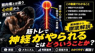 筋トレで「神経がやられる」とは？筋肉痛とは違う中枢性疲労の正体を解説