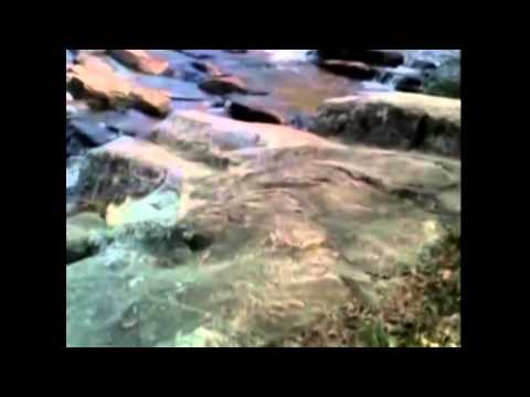Almas Das Andorinhas video