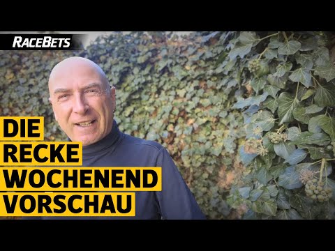 Recke Vorschau auf das Wochenende zum 26./27.11.2022