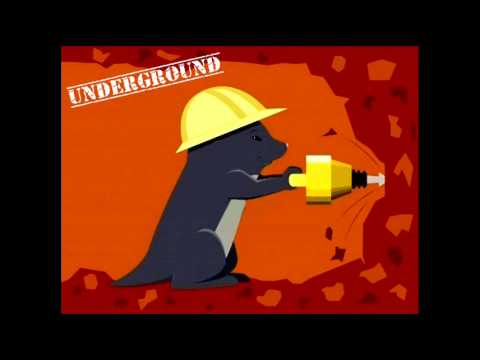 mad-ID - Deathwish June 2009 industrial/terror-set