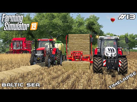 Harvesting, baling and collecting bales | Animals on Baltic Sea | Farming Simulator 19 | Episode 13