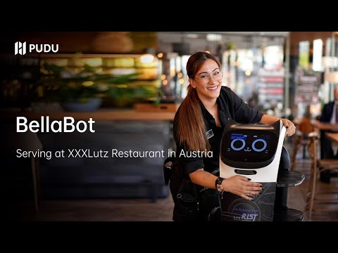 オーストリアがロボット評議会を設立