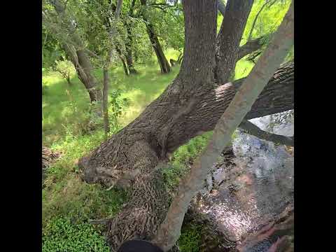 Rio Ctalamuchita  Almafuerte,  Cordoba