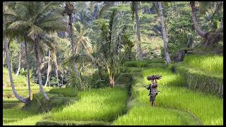 Download lagu General Maya - Gemah Ripah Lohjinawi (Lirik) mp3 Download lagu General Maya - Gemah Ripah Lohjinawi (Lirik) mp3