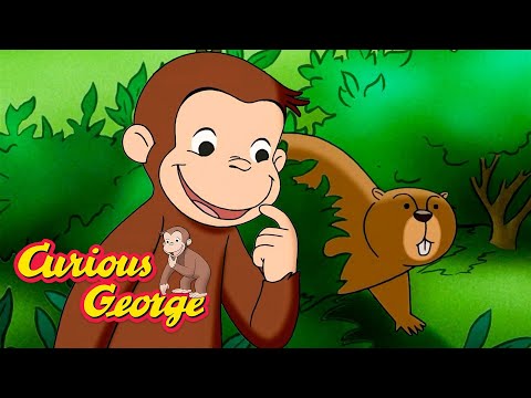 Is that a WhistlePig!? 🐵 Curious George 🐵 Kids Cartoon 🐵 Kids Movies