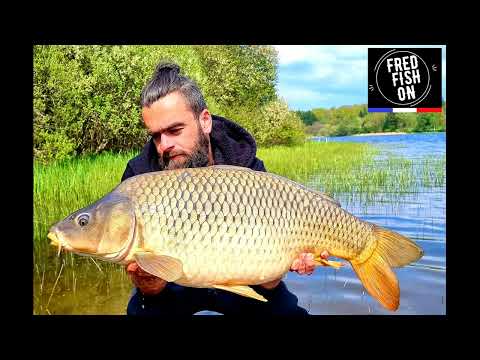 FRED FISH ON LAC CHANCELADE