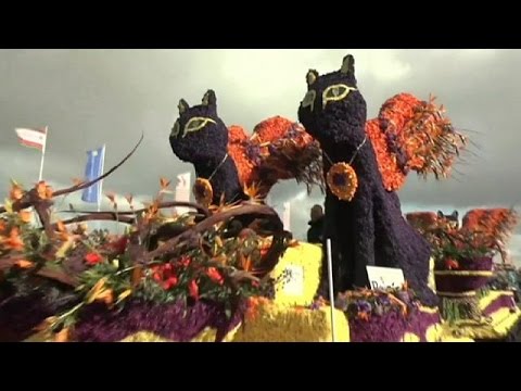 Netherlands flower parade in full bloom