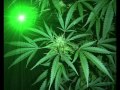 Ganja - Truputi 