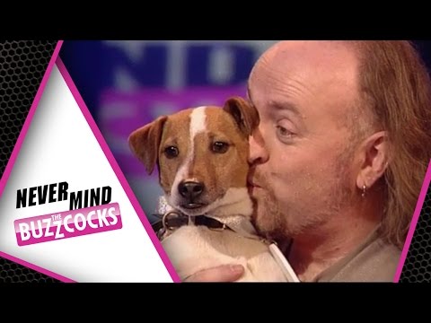 Bills Best Friend | Dog Identity Parade | Never Mind The Buzzcocks