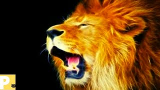 Som de leo#leo#somdeleorugindo#somdeleobravo#lion#lions#lionpride#lionking#sound#animal#F4ds