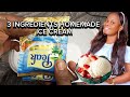 HOW TO MAKE ICE CREAM 2024 Three Ingredients Homemade Icecream