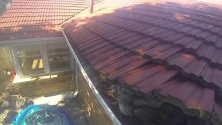 Possum - roof removal