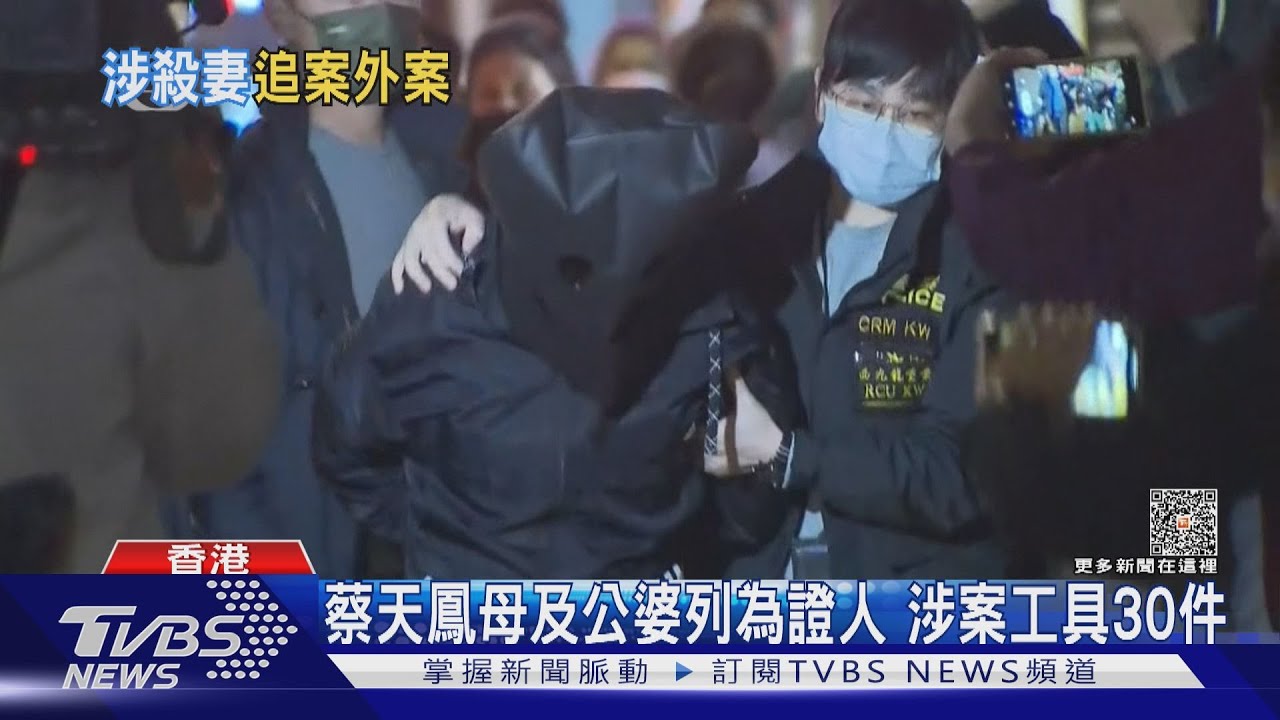 蔡天鳳前夫連兩天出庭 今審七項盜竊罪