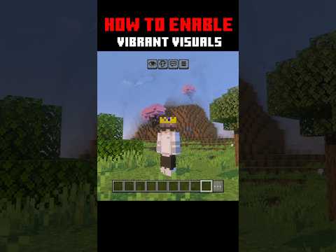 How To Enable Vibrant Visuals In Minecraft Pe | #minecraft #shorts