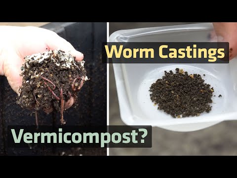 Should You Use Worm Castings In The Garden? The Data May Surprise You!