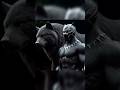Superheroes And Their Wolves Marvel Venomshorts Ironman Spiderman Hero Fanmade Wolf