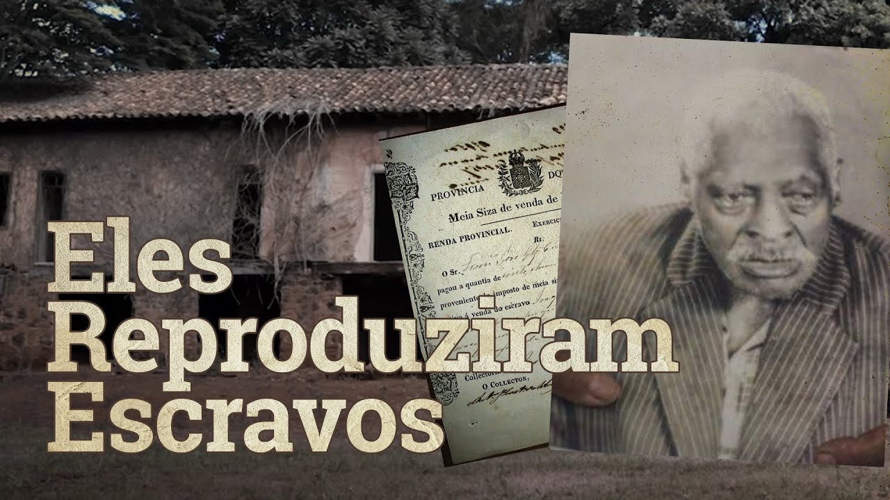 ESCRAVO foi PAI de 250 FILHOS e viveu até 130 ANOS - Fazenda Paulista