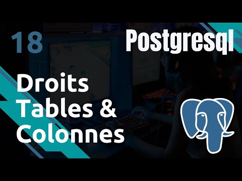 PostgreSQL 18 Droits Tables et Colonnes | tutos fr