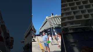 Is P&O's Arvia the Worst Cruise Ship? #pandocruises #arvia #cruiseship #cruise