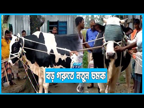 বেলা বাড়তেই বাড়ছে ঘরমুখো মানুষের ঢল